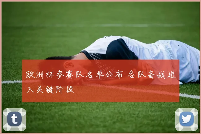 欧洲杯参赛队名单公布 各队备战进入关键阶段