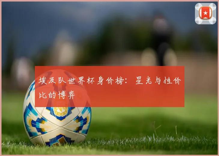 埃及队世界杯身价榜：星光与性价比的博弈