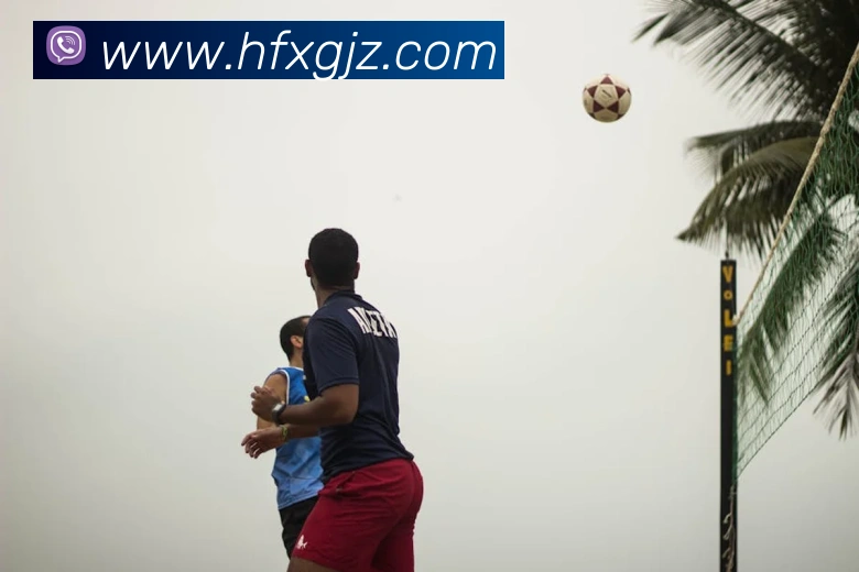 数据分析功能